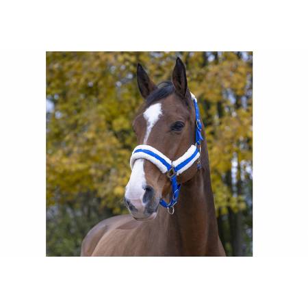 Licol mouton Teddy Norton bleu porté par un cheval
