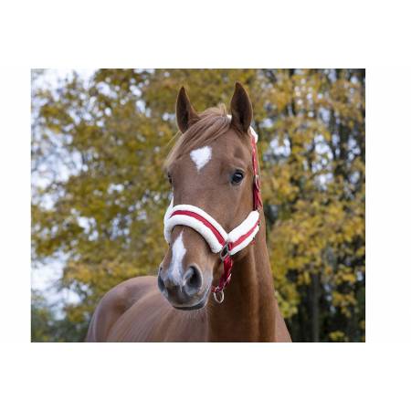 Licol mouton Teddy Norton rouge porté par un cheval