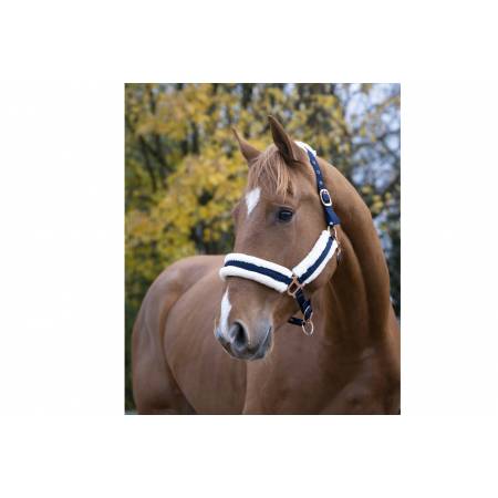 Licol mouton Teddy Norton bleu marine porté par un cheval