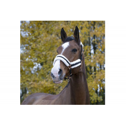 Licol mouton Teddy Norton noir porté par un cheval