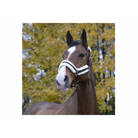 Licol mouton Teddy Norton noir porté par un cheval
