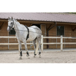 Longues rênes toile et corde noir 10 m Riding World utilisées sur un cheval