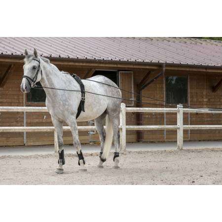 Longues rênes toile et corde noir 10 m Riding World utilisées sur un cheval