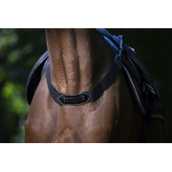 Fausse bricole élastique noire Eric Thomas portée par un cheval