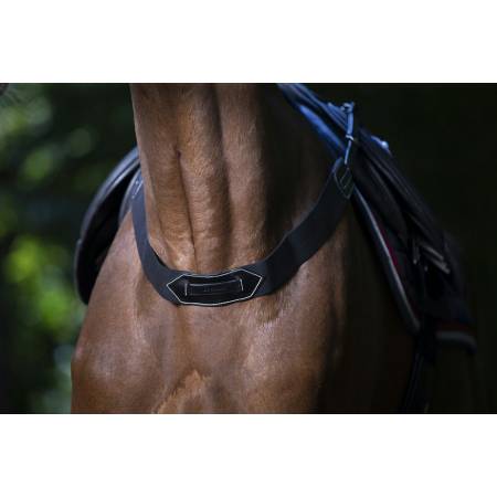 Fausse bricole élastique noire Eric Thomas portée par un cheval