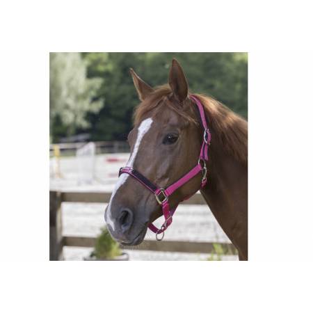 Licol poney rose avec strass porté par un poney