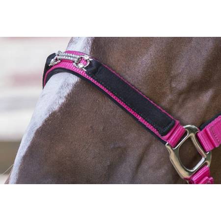 Zoom sur le devant du licol poney rose avec strass porté