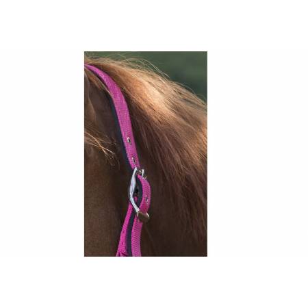 Zoom sur la boucle du licol poney rose avec strass porté