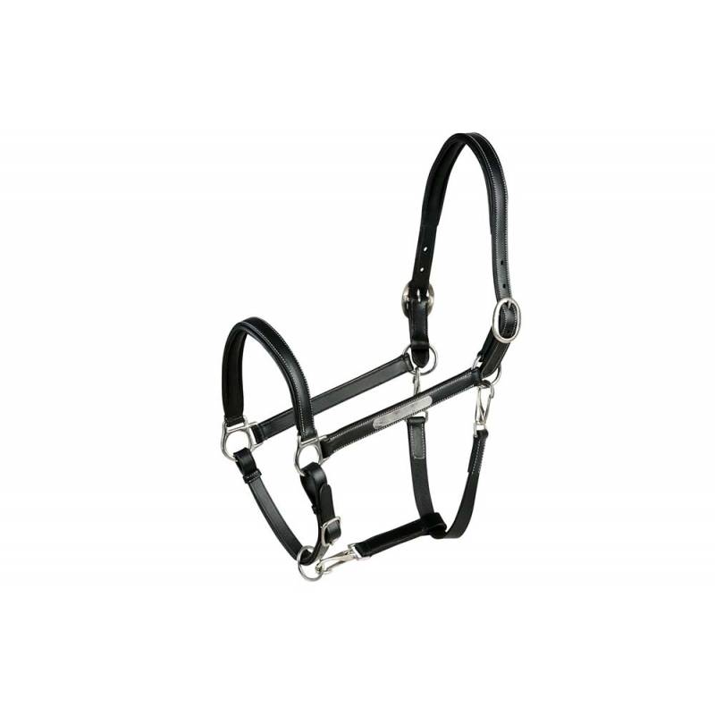 HQUIREN SHIQIAN Cravache Fouet En Cuir - Accessoire Rôle Et Équitation - Noir