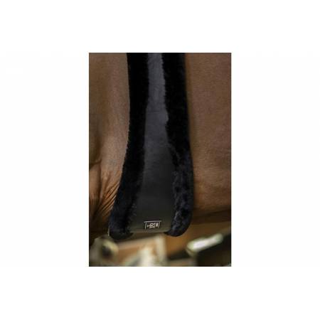 Zoom sur la sangle noire et mouton noir XTR Norton porté par un cheval