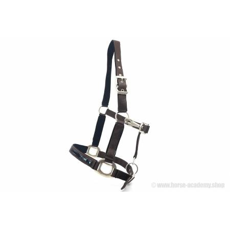 Licol Equithème Tendance marron  avec cuir vernis