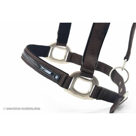 Zoom sur le licol Equithème Tendance marron  avec cuir vernis