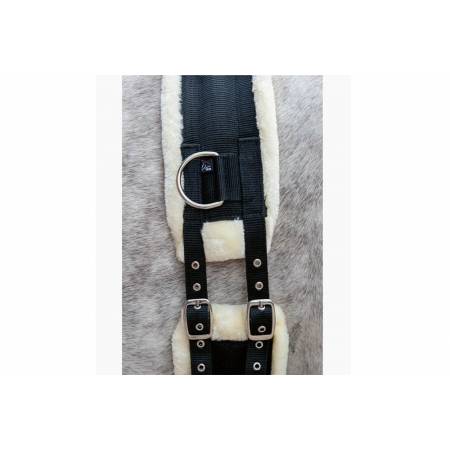 Zoom sur le surfaix confort Teddy HKM sur un cheval
