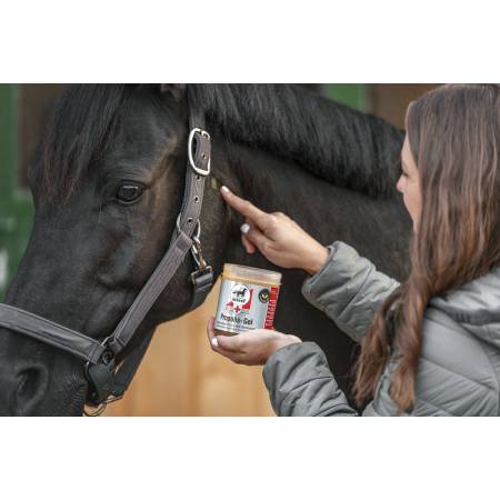 Application du gel de soins Propolis Leovet sur un cheval