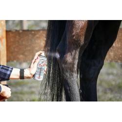 Application du spray au Zinc soin des plaies Leovet sur un cheval