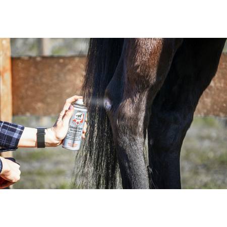 Application du spray au Zinc soin des plaies Leovet sur un cheval