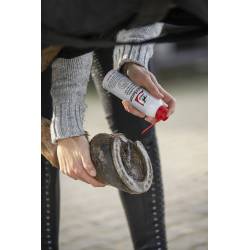 Application du soin Strahlserum Leovet sur la fourchette d'un cheval