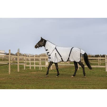 Chemise mesh Combo Equithème sur un cheval au paddock