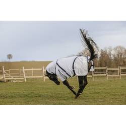 Chemise mesh Combo Equithème sur un cheval