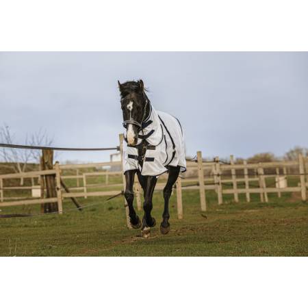 Chemise mesh Combo Equithème sur un cheval au galop