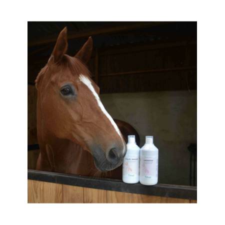 Bidon vitalité Immunité Liquide Nutragile posé sur le box d'un cheval