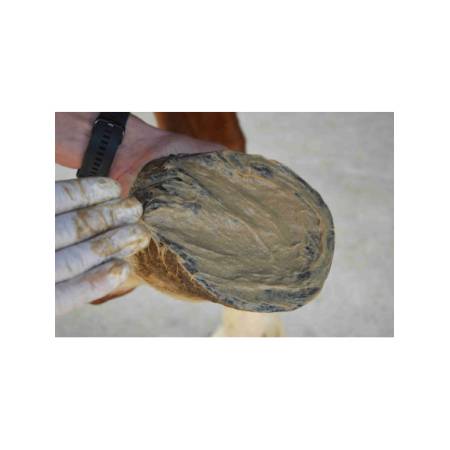 Application du soin Magic Pieds Nutragile sous le sabot d'un cheval