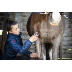Tonde du poitrail d'un cheval avec la tondeuse sans fil Eclipse Lister