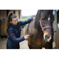 Tonde de l'épaule d'un cheval avec la tondeuse sans fil Eclipse Lister