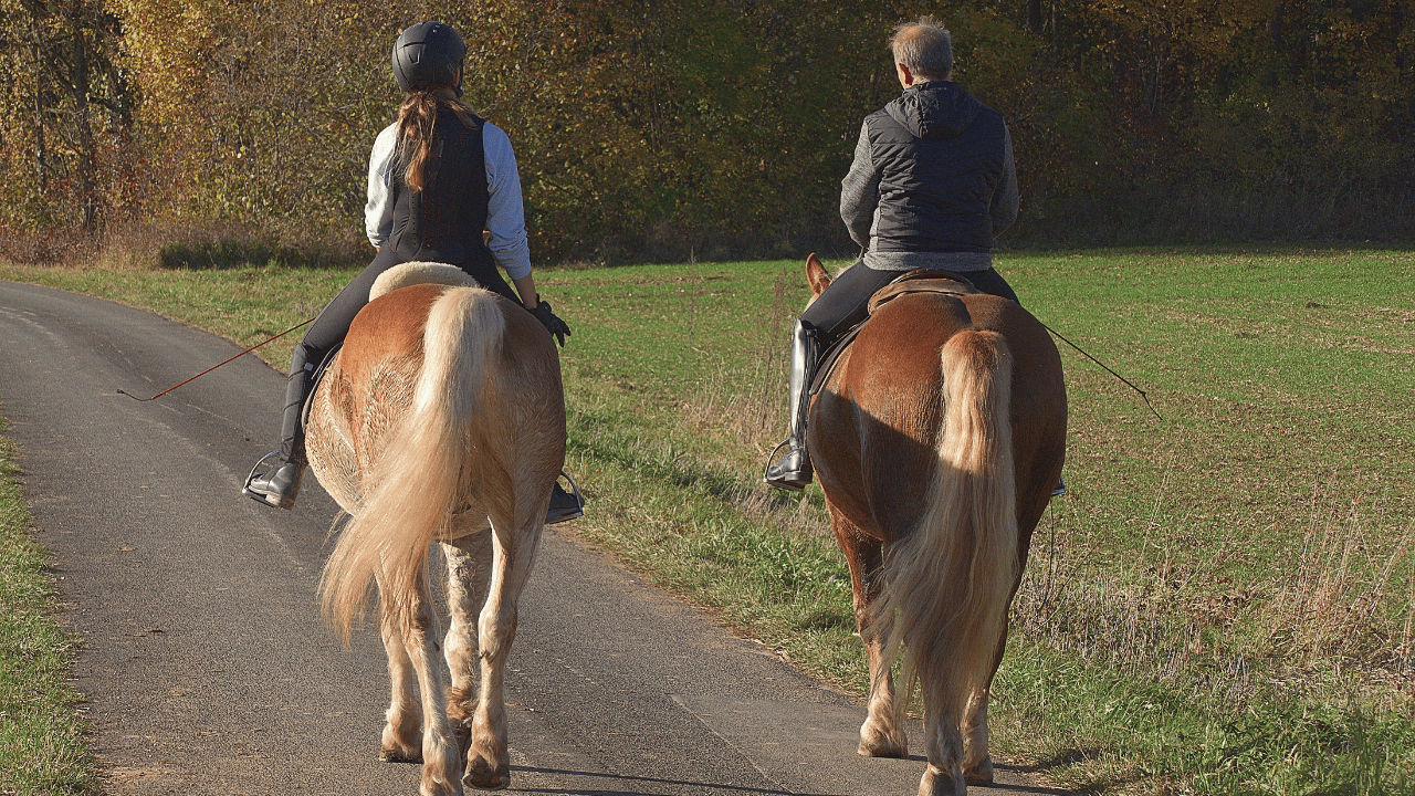 balade à cheval dans la campagne
