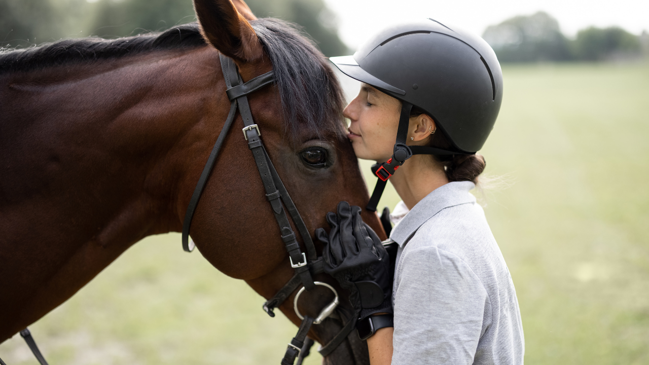 une cavalière fait un câlin à son cheval