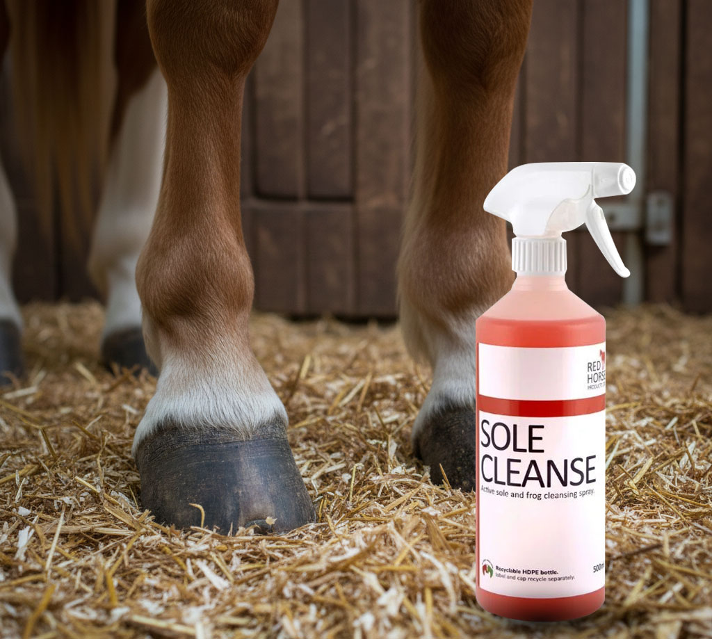 Sole Cleanse cheval